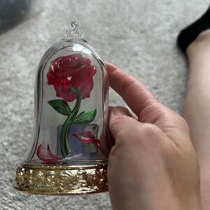 Enchanted Rose in Glass Dome Wall Flower